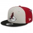 Cap 9Fifty - Arizona Cardinals - NFL Sideline History
