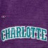 Cap - Charlotte Hornets - NBA All Directions - Mitchell & Ness