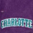 Cap - Charlotte Hornets - NBA All Directions - Mitchell & Ness