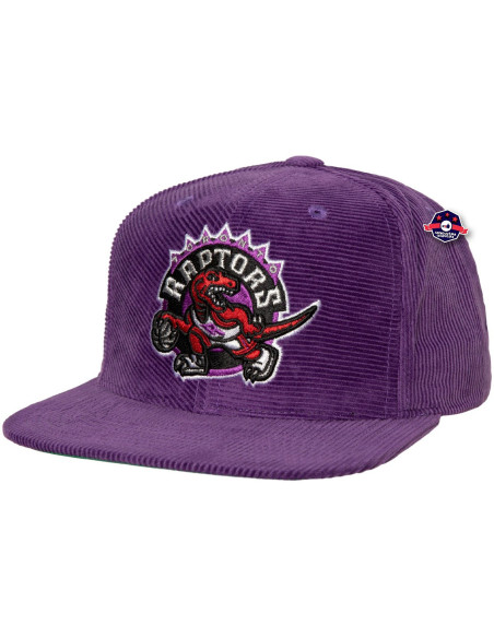N B A A L L D I R E C T I O N S SNAPBACK HWC RAPTORS