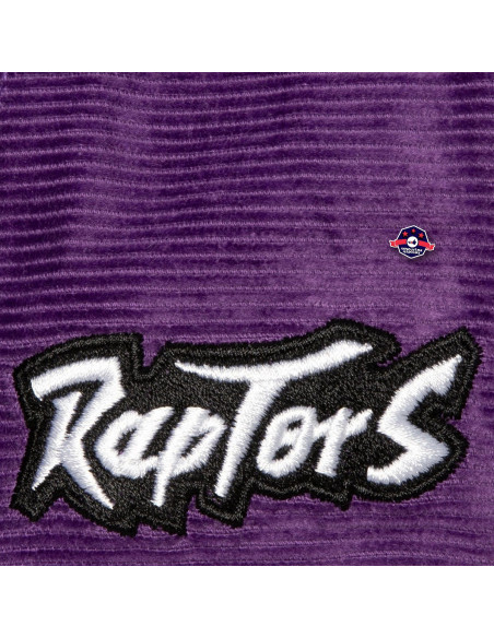 N B A A L L D I R E C T I O N S SNAPBACK HWC RAPTORS