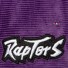 Cap - Toronto Raptors - NBA All Directions - Mitchell & Ness