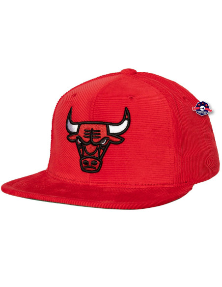 N B A A L L D I R E C T I O N S SNAPBACK BULLS