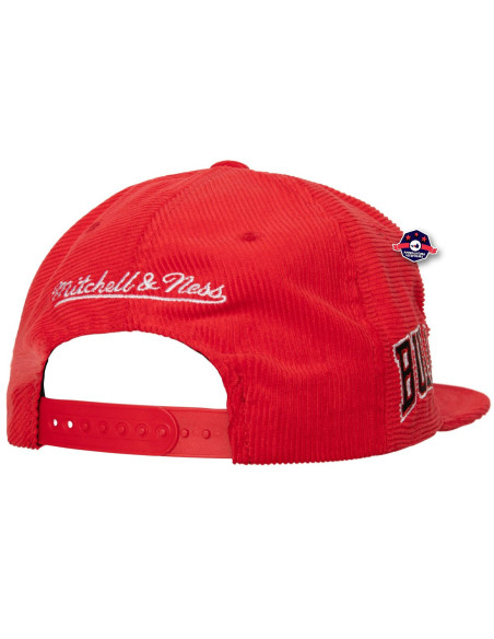 N B A A L L D I R E C T I O N S SNAPBACK BULLS
