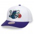 Mitchell & Ness Cap - Charlotte Hornets - 2 Tone Pro - White