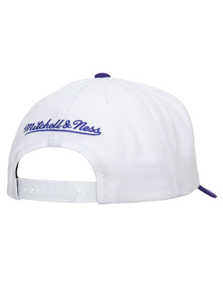 NBA TEAM 2 TONE 2.0 PRO SNAPBACK HWC HORNETS