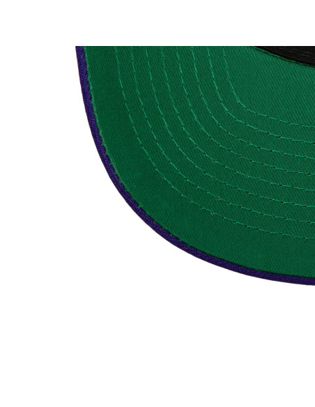 NBA TEAM 2 TONE 2.0 PRO SNAPBACK HWC HORNETS