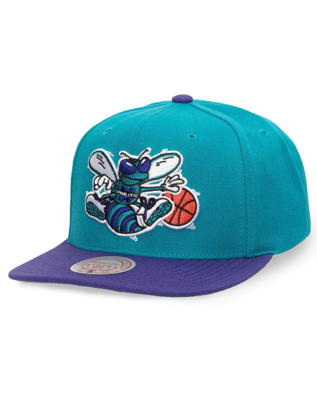 N B A T E A M 2 TO N E 2 . 0 SNAPBACK HWC HORNETS
