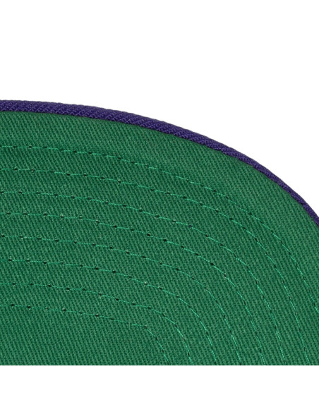 N B A T E A M 2 TO N E 2 . 0 SNAPBACK HWC HORNETS