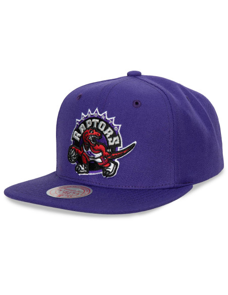 N B A T E A M G RO U N D 2 . 0 SNAPBACK HWC RAPTORS