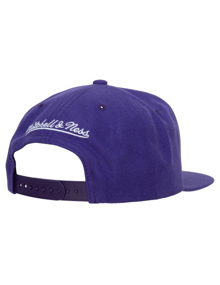 N B A T E A M G RO U N D 2 . 0 SNAPBACK HWC RAPTORS