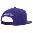 Mitchell & Ness Cap - Toronto Raptors - Team Ground - Purple