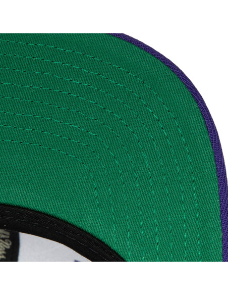 N B A T E A M G RO U N D 2 . 0 SNAPBACK HWC RAPTORS
