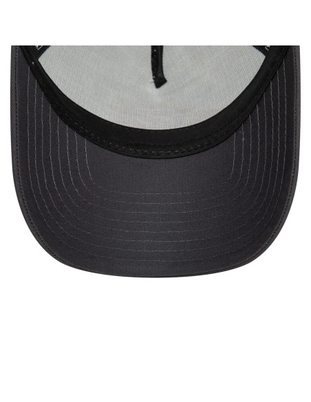 NBA TRUCKER PHOSUN GRHGRA