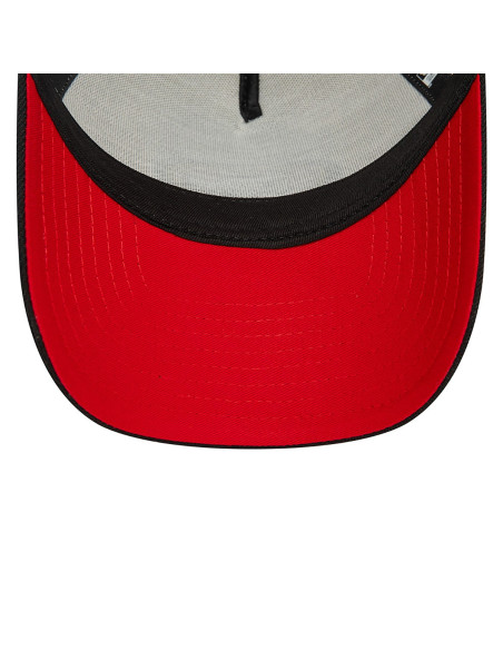 NFL EFRAME SAF49E STNBLK