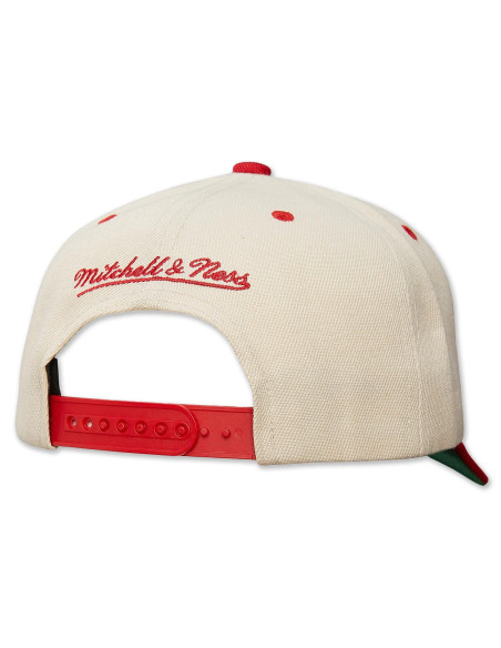 N B A R E T R O T Y P E P R O SNAPBACK HWC 76ERS