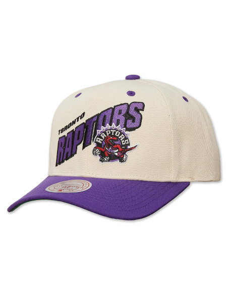 N B A R E T R O T Y P E P R O SNAPBACK HWC RAPTORS