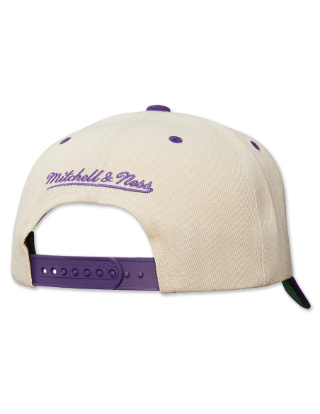 N B A R E T R O T Y P E P R O SNAPBACK HWC RAPTORS