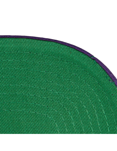 N B A R E T R O T Y P E P R O SNAPBACK HWC RAPTORS