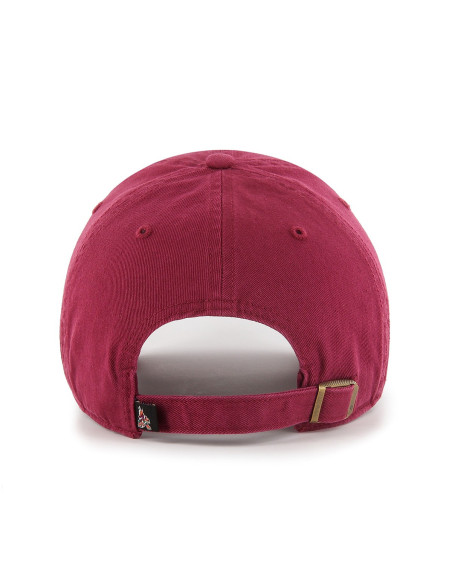 47 CAP NHL ARIZONA COYOTES CLEAN UP CARDINAL
