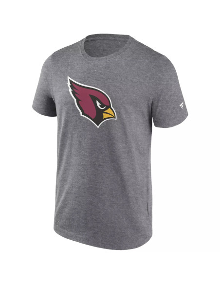 Arizona Cardinals Primary Logo Graphic T-Shir