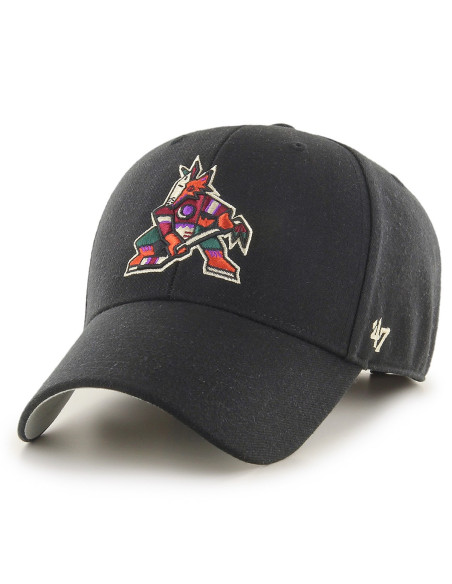 ARIZONA COYOTES