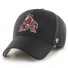 Cap '47 - Arizona Coyotes
