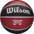 Balloon Chicago Bulls