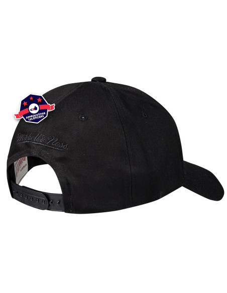 Vancouver Grizzlies - Snapback
