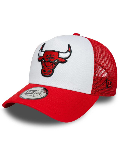 NBA SIDE PATCH TRUCKER CHIBUL FDR