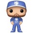 Funko Pop! Dale Earnhardt Jr.