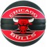Balloon Chicago Bulls
