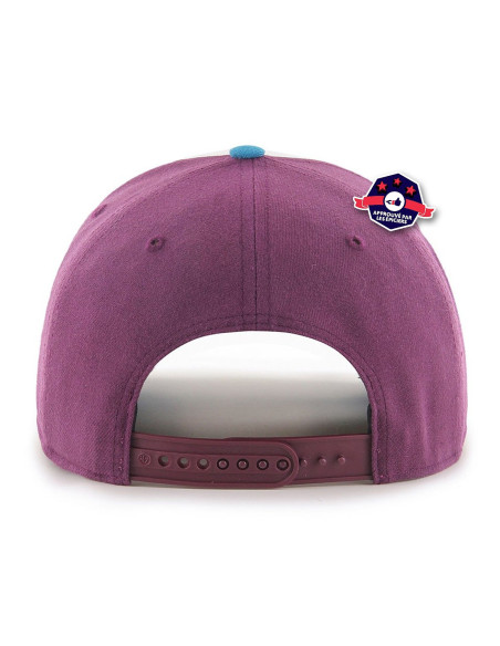 Casquette Anaheim Ducks "Cold Zone"