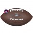 Ball of the Houston Texans - NFL