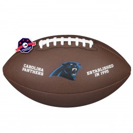 Ball of the Carolina Panthers - NFL