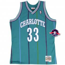 NBA jersey - Alonzo Mourning - Charlotte Hornets