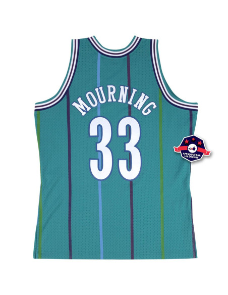 Jersey - Alonzo Mourning - Charlotte Hornets