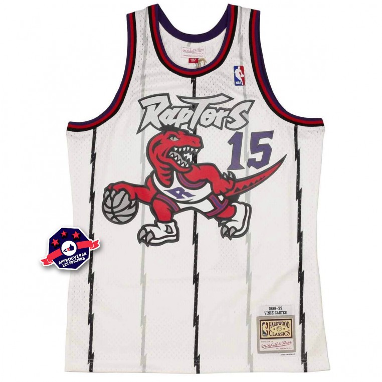 Toronto Raptors Alternate Uniform - National Basketball