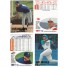 Fleer Pack - Baseball '96 Update - Trading Cards