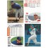 Fleer Pack - Baseball '96 Update - Trading Cards