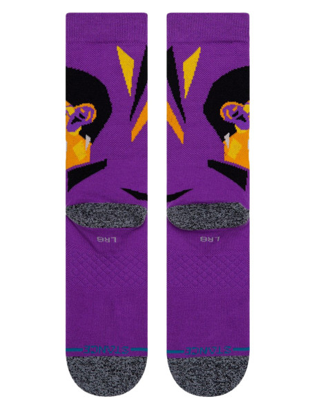 Chaussettes - LeBron James - "Profiler" - Stance