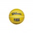 Ball Wilson "Dribbler" - Golden State Warriors