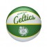 NBA Mini Ball - Boston Celtics