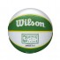 NBA Mini Ball - Boston Celtics