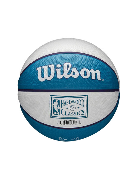 Mini Ballon NBA - Charlotte Hornets