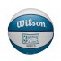 NBA Mini Ball - Charlotte Hornets