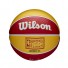 NBA Mini Ball - Houston Rockets