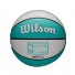 NBA Mini Ball - Memphis Grizzlies
