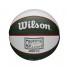 NBA Mini Ball - Milwaukee Bucks