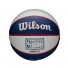 NBA Mini Ball - Sacramento Kings